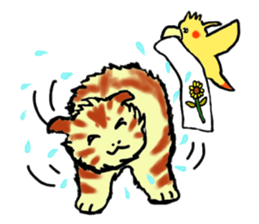 Kitten and cockatiel sticker #7168717