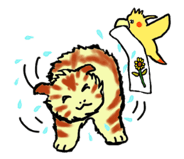 Kitten and cockatiel sticker #7168717