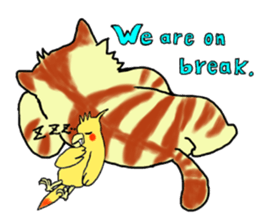Kitten and cockatiel sticker #7168719