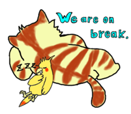 Kitten and cockatiel sticker #7168719