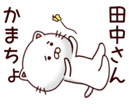 White cat that is kept of Tanaka sticker #7170102