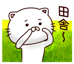 White cat that is kept of Tanaka sticker #7170121