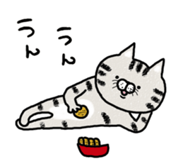 Very lovely cat sticker #7173468