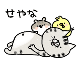 Very lovely cat sticker #7173470