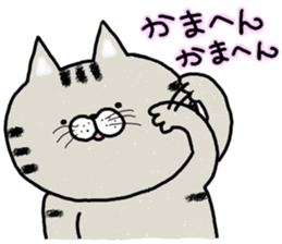 Very lovely cat sticker #7173488