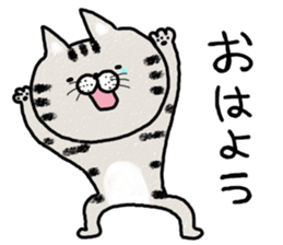 Very lovely cat sticker #7173496