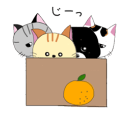 Kuro's daily life 8 sticker #7173997