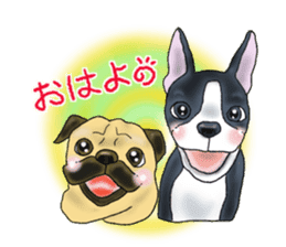 Pugs and boston terrier sticker #7174145