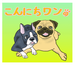 Pugs and boston terrier sticker #7174146