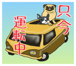 Pugs and boston terrier sticker #7174154