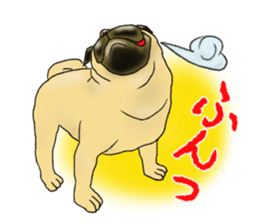 Pugs and boston terrier sticker #7174163