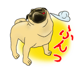 Pugs and boston terrier sticker #7174163
