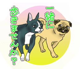 Pugs and boston terrier sticker #7174168