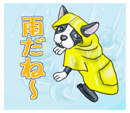 Pugs and boston terrier sticker #7174169