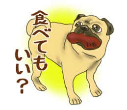 Pugs and boston terrier sticker #7174172