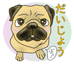 Pugs and boston terrier sticker #7174174