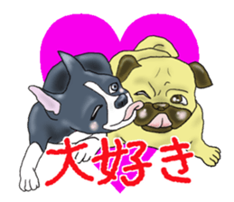 Pugs and boston terrier sticker #7174177