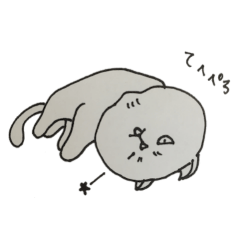 Fukusuke the exotic shorthair