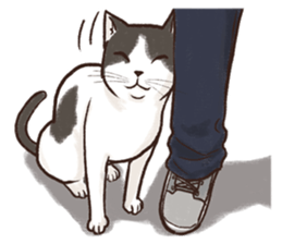 Ma-kheu & friends (EN) sticker #7177297