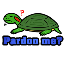 Hey~turtle turtle 2 sticker #7178546