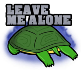 Hey~turtle turtle 2 sticker #7178558