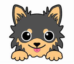 Chihuahua of MOMO-chan sticker #7184576