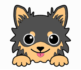 Chihuahua of MOMO-chan sticker #7184576