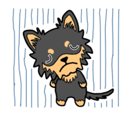 Chihuahua of MOMO-chan sticker #7184584