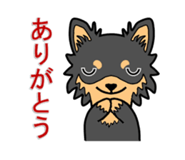 Chihuahua of MOMO-chan sticker #7184588