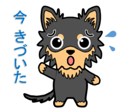 Chihuahua of MOMO-chan sticker #7184589