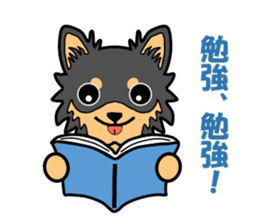 Chihuahua of MOMO-chan sticker #7184592