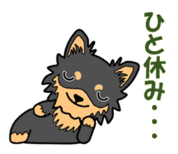 Chihuahua of MOMO-chan sticker #7184593