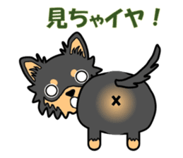 Chihuahua of MOMO-chan sticker #7184597