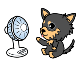 Chihuahua of MOMO-chan sticker #7184598