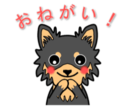 Chihuahua of MOMO-chan sticker #7184602