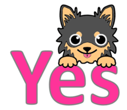 Chihuahua of MOMO-chan sticker #7184604