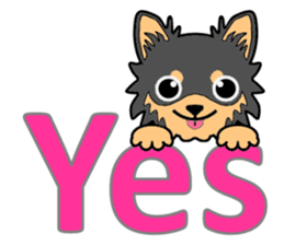 Chihuahua of MOMO-chan sticker #7184604