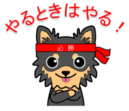 Chihuahua of MOMO-chan sticker #7184606