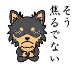 Chihuahua of MOMO-chan sticker #7184612