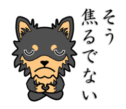 Chihuahua of MOMO-chan sticker #7184612