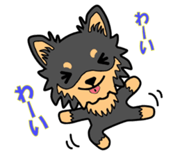 Chihuahua of MOMO-chan sticker #7184614
