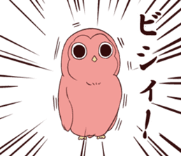 Twink owl2 sticker #7185900