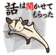 Flying Squirrel ver.1 sticker #7186443