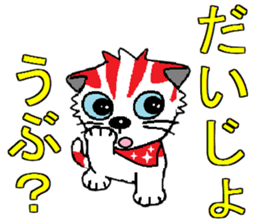 I Love Kittens sticker #7187444