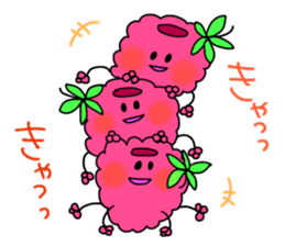 raspberries sticker #7187816