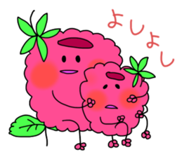 raspberries sticker #7187833