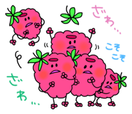 raspberries sticker #7187840