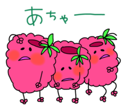 raspberries sticker #7187842