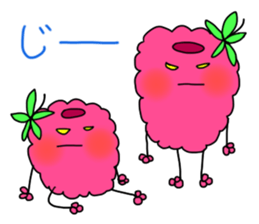 raspberries sticker #7187844