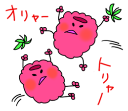 raspberries sticker #7187845